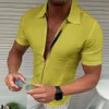 Mens Light Business Office Casual Zipper Short Sleeve Shirt Slim Fit Solid Color Lapel Cardigan Fashion Tops 240506