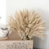 Flores decorativas grinaldas boho pampas grama flores artificiais plástico buquê de buquê caseiro de natal decoração coelho cauda grama falsa flores falsas