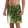 Mäns shorts simma sommar simningstammar strand surfbräda manliga kläder byxor blad färsk sallad