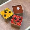Opslagflessen Food Frosted Iron Box Simple Square Candy Chocolate Cookie Cake Biscuit Gifts Packaing Tin Boxes Kitchen
