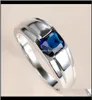 Jewelrysimple Male Female Blue Crystal Ring Charm Sier Color Wedding Classic Square Zircon Stone Engagement Rings For Women Men Dr2459313