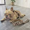 Tasarımcı Pet Tasma Köpek Çekiş Halat Lüks Mektup Evcil Hayvanlar Tarama Ayarlanabilir Köpek Zinciri Set Moda Marka Köpek tasma Tasarımcıları Köpek Yakaları