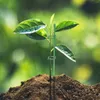 Tuindecoraties 1 Set plantstakken enkele stengel bloemenbloemsteun inzet voor tomaten