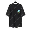 Palm Pa 24sss Summer Rainbow Palm Letter Printing Logo Camise