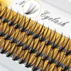 Faux cils 20d / 30d Clusters de cils personnels 60 paquets / boîte Extension de cils naturel Mink Fals Fals Makeup Tool Tool Eyelash Wholesale D240508