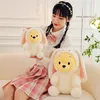 NUOVO 25-40 cm Cartoon Bear Plush Bush Bambow Game Game Game Game