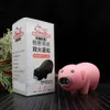 Ft Creative Metal Plastic Piglet Decorations Double Flame Direct Spray Windproof Lighter Fire Lock Gift Box Wholesale