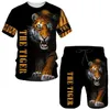 Tracksuits masculin 3D Imprimé animal tigre Tiger t-shirts shorts de sets pour hommes.