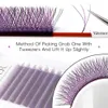 Les faux cils se déshabillent les cils en boucles rouges roses 3d pour les cils fausses de couleur violet brun C D 8-15 pour cils extensions de cils de jeu D240508