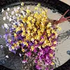 Dekorative Blumen 2pcs künstliche Pflaumenblüten Bouquet Home Dekoration gefälschte Hochzeitsfeier Garten Outdoor Accessoires