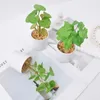 Fleurs décoratives 3pc 5,12 pouces simulation de poire Herbe herbe vert clair blanc plante en pot avec pot pas besoin de towater bibliothèque