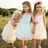Summer Kids Mesh Camisole Dress Daisy Floral Dress Fashion Söta flickor Puffy Kjol andas Comfort Soft Dresses