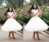 Tule rok prom feestjes rokken dame underskirt volwassen vrouwen prinses dame witte knielengte rokken op maat gemaakte kleurgrootte1548821