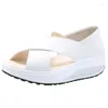 Lässige Schuhe Frühling weiße Plattform All-Match Frauen Sandalen grenzüberschreitend große Luxus elegant