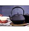 Cast Iron Tea Pot tekanna japansk stil vattenkokare med siltredare te -puer kaffeburk 300 ml 20229754558