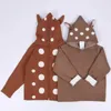 Sets Winter Boys Sweater 3D lapin tirant de nouveaux enfants filles tricotées dessin animées saut à bébé vêtements Q240508