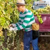 Opbergtassen Foerageren tas Waterdicht plukken voor champignon zakje canvas lederen fruitcamping