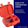 Accessori per divisori Bento Box Safe Augh Accessori Silicone Inserto pranzo universale BPA VASSILE GRATUITO PER BENTGO FRESH