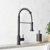 Bathroom Sink Faucets Elmont Single-Handle Spring Neck Pull Down Sprayer Kitchen Faucet Matte Black