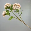 Decorative Flowers Artificial Long Branch Snowball Floral Simulation Flower Blue Purple Hydrangea Shopping Mall Decoration Green Plant