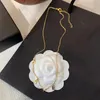 Cadeia de colar de moda de designer de luxo 925 prata banhada 18k ouro banhado aço inoxidável letra de colares pendentes para jóias femininas