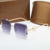 Summer Fashion Fashion Womens Sunglasses Дизайнерские квадратные безрамные арт -жемчужины украшены золотыми металлическими храмами Премиум текстура простая и элегантная 240 -х