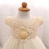 Sukienki dziewczynki 12m dziewczynka kwiat sukienka na wesele przyjęcie urodzinowe urocza dziewczyna Pearl Tiul Suknia niemowlęta