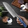 Xituo Santoku Knife 7インチダマスカス包丁Ultra Sharp Blade Best Santoku Knife for Pro Chef Restaurant-Blue G10ハンドル