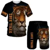 Tracksuits masculin 3D Imprimé animal tigre Tiger t-shirts shorts de sets pour hommes.