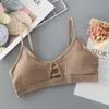 SDMB Underwear ativo New Women Cotton Cotton Sports Bra Tubo Top Crop Crop FE FELE Sem costura Tubo Bra sem fio Bralette Sexy Lingerie Cropped Bandeau D240508