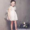 Abiti per ragazze 2-7 anni/Summer Kids Girl Girl Wedding Party Princess Abiti per bambina Abito da sera in pizzo dolce abbigliamento BC1067