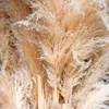 Dekorativa blommor höga fluffiga pampas gräs 60 cm grädde torr pompous dekor bröllop hem blomma boho utomhus naturlig pompas bukett