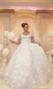 Plus Size A Line Wedding Dresses V Neck Long Sleeves Beaded Lace Appliques Tulle Sweep Train Bridal Gowns Custom Made