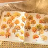 Geschenkverpackung 40 PCs Forest Nature Serie Blatt dekorative PVC -Aufkleber Scrapbooking -Etikett Diary Stationery Phone Cup Journal Planer