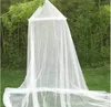 Mosquito de dôme suspendu d'été pour lit double polyester tissu maison maison adultes suspendus décor 240508