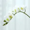 Kwiaty dekoracyjne 5pcs Symulacja poczuj prawdziwy dotyk phalaenopsis jedwabny ślub kwiat dekoracja domowa
