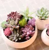 Ensemble 84 styles artificiels succulents