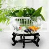 Decorative Plates Wooden Flowerpot Display Stand Bracket Oriental Styled Multipurpose Bonsai Rack