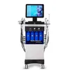 Hydro Peel 14 I 1 Multifunktionell mikrodermabrasion Auqa Vatten Deep Cleaning RF Face Lift Hud Care Face Spa Machine Drawing Beauty Salon Equipment