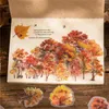 Geschenkverpackung 40 PCs Forest Nature Serie Blatt dekorative PVC -Aufkleber Scrapbooking -Etikett Diary Stationery Phone Cup Journal Planer