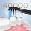 Fairywill Sonic Electric Toothbrush E11 Impermeável carregamento de dentes de dentes elétricos 8 Substituição de escova com cabeça humana 240507