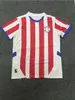 2024 Paraguay voetbalshirt 2024 2025 COPA AMERIKA CAMISA Home Away Awal Awball Shirt Size S-4XL