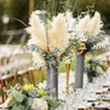 Dekorativa blommor höga fluffiga pampas gräs 60 cm grädde torr pompous dekor bröllop hem blomma boho utomhus naturlig pompas bukett