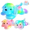 46 cm LED Light Dog Doll Toys Sched Pillow Animal Glow Blue Dog Plush Toy Lunch Break Break Prezenty dla dzieci dziewczęta walentynki 240507