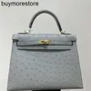 Borsa per la borsetta della borsetta di cagnulla sacca in pelle di struzzo 25 piccole piccola griglie in pelle chiusura alla moda e versatile in pelle versatile grigio di fascia alta bluewfvi