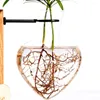 Vasen hängende Glas Vase Desktop Pflanzen Terrarium Holzständer Innenhäuser Wohnkultur