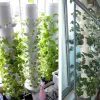 Coperchi pentole idroponiche fai -da -te per idroponica verdura verticale verdura di coltivazione di fragole torre idroponica dispositivo Soilless 40 pezzi