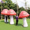 5mh (16,5 piedi) con fabbrica di vetrina Simulazione pubblicitaria diretta Simulazione giocattoli di funghi Sport Decorative Inflation Plants per Evento per feste