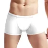 Sous-pants pour hommes sexy lingerie transparente bac à taille basse boxer brèche bouchette des troncs de sous-vêtements