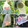 Sacchetti di copertura verde reti protezione per protezione da cofano protezioni barriere parassiti per manghi pomodori alberi da frutto verdure giardino